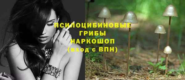 молекула духа Алзамай